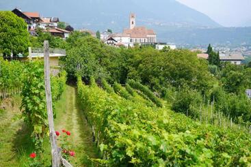 Hotel Weingut Pardellerhof
