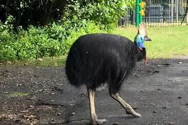 South Pacific Bed & Breakfast