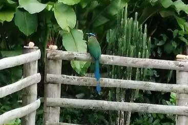 Casa Campesina Hostel