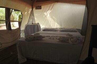 Wilpattu Nature Resort