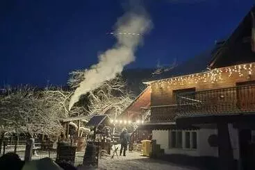 Pensiunea Casa Butnarului