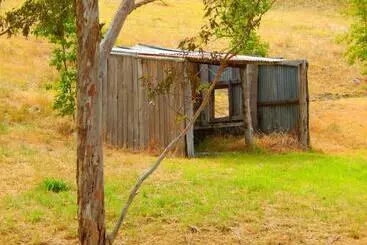 ベッドアンドブレックファースト Morialta Barns