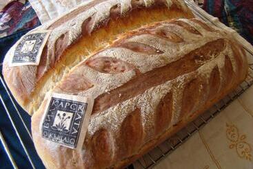 Пансион Bilkarskata Kashta