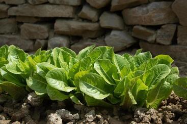 B&b Le Quattro Civette