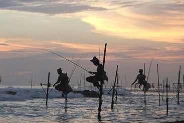 Aparthotel Sana Guest