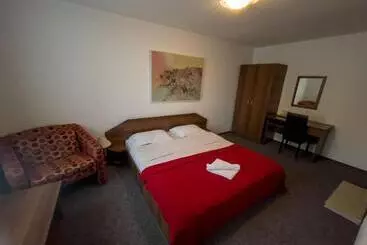 Hotel Pensiunea Dacia Deva