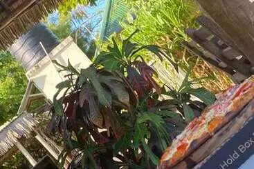 Hotel Shamba Village