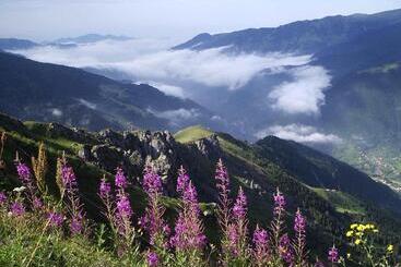 אתר נופש Inanlar Garden Hotel & Bungalow