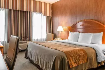 酒店 Comfort Inn