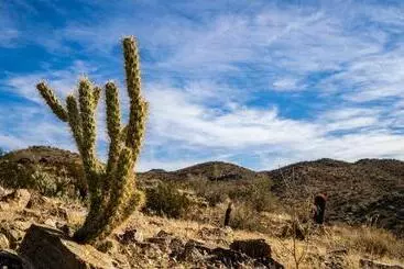 Movie Colony Hotel   Adults Only