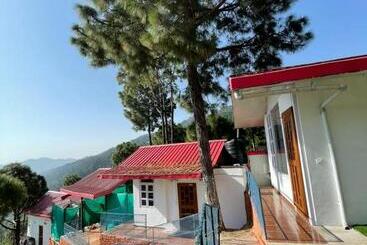 בית מלון כפרי Popping Pines Resort