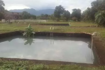 Hotel Dream Resort Farm