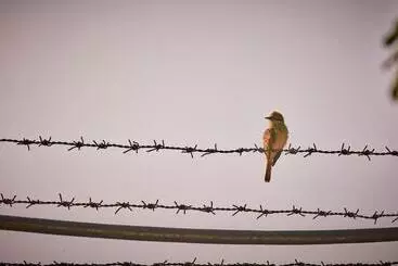 Holiday Valley Hotels And Resorts