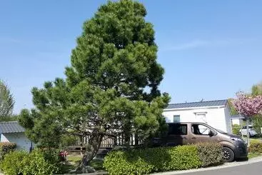 Hotel Camping Caravaning Les Cerisiers Berck Sur Mer