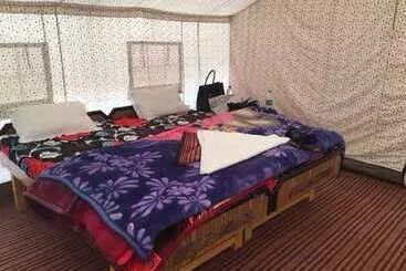 Hotel The Buddha Camp