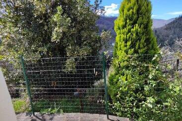 פנסיון Il Gelsomino