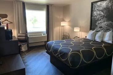 汽车旅馆 Super 8 By Wyndham Greeley