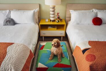 Drake Devonshire And Motor Inn