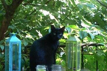 ペンション Chambres D Hotes Atelier De Fons