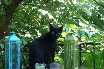 Pensionat Chambres D Hotes Atelier De Fons