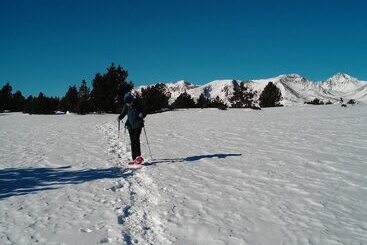 Bed and Breakfast Chambres D'hotes Ecogite Du Mas De Trape