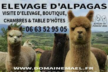 פנסיון Alpagas Du Domaine Mael