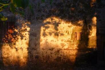 Bed and Breakfast Au Bonheur D Alphonse