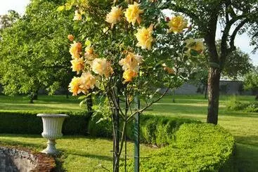 Hotel Chateau La Touanne Loire Valley