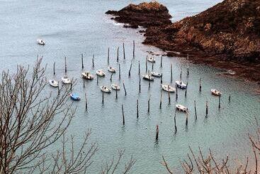 Pansiyon Ailes Et Iles