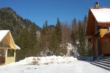 Pensiunea Izbucul Tauz