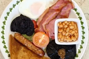 Aamiaismajoitus (B&B) Canaston Oaks