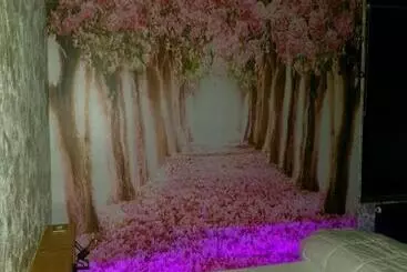 Il Giardino Di Mai Exclusive B&b