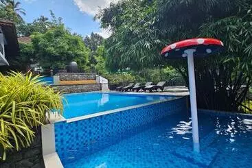 Resort Athirapally Green Trees