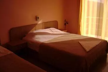 Pensiunea Cionca Str 1 Decembrie 1918 Nr 466