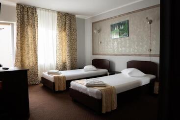 Pensiunea Lido Moisei