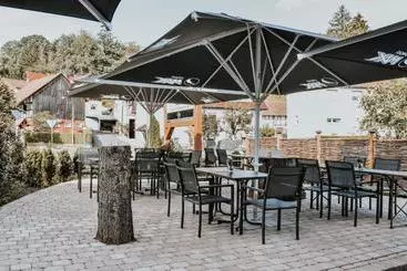 Pension Landgasthof Hotel Will