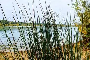 Nocleg ze śniadaniem Chambres D Hotes Manoir Le Cristal Futuroscope à Petit Prix