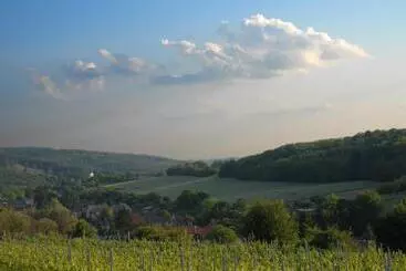 Pensione Matievics Borászat és Vendégház