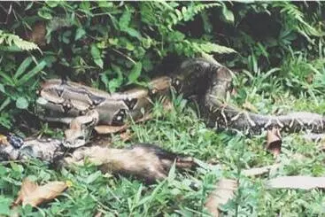 Albergue De Montaña Talari