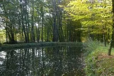 Bed and Breakfast La Faisanderie 16