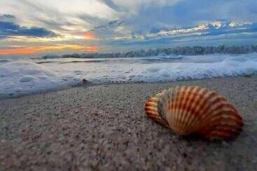 酒店 Agriturismo Monte Acuto   Natura, Mare & Relax In Piscina