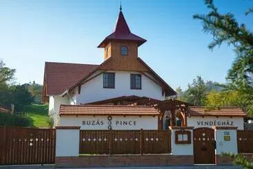 Pensiune Buzás Pince Vendégház