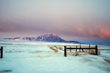 Great Northern Bed & Breakfast