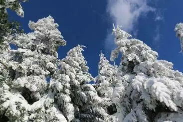 ホテル Le Relais Du Vermont