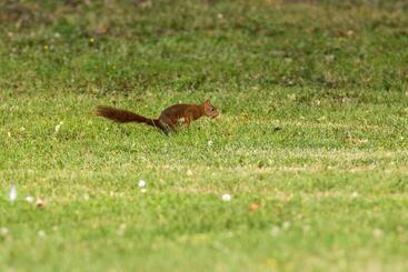 Majatalo La Planche Pinçon