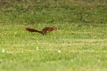 Pensione La Planche Pinçon