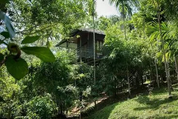 Hotelli The Woods Resorts Wayanad