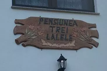 Hotel Pensiunea Trei Lalele