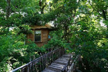 مبيت وإفطار Savannah S Meadow