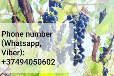 ペンション Bella Dilijan